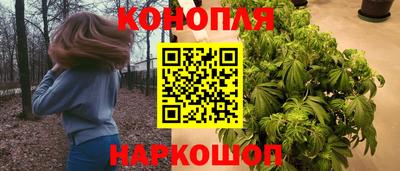 дживик Тулун