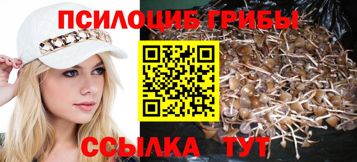 Псилоцибиновые грибы GOLDEN TEACHER  Вход с VPN  Новочебоксарск 